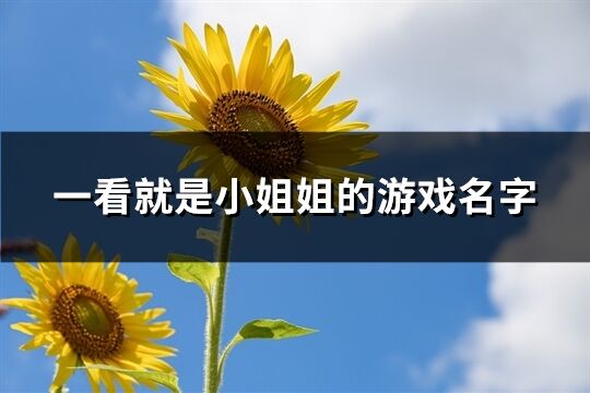 一看就是小姐姐的游戏名字(精选276个)