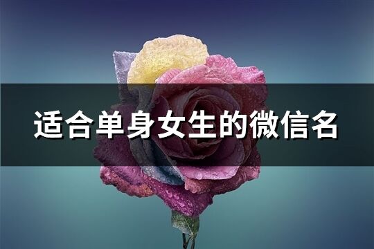 适合单身女生的微信名(精选451个)