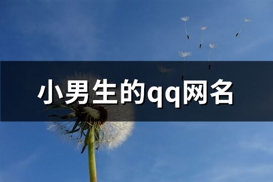 小男生的qq网名(共293个)