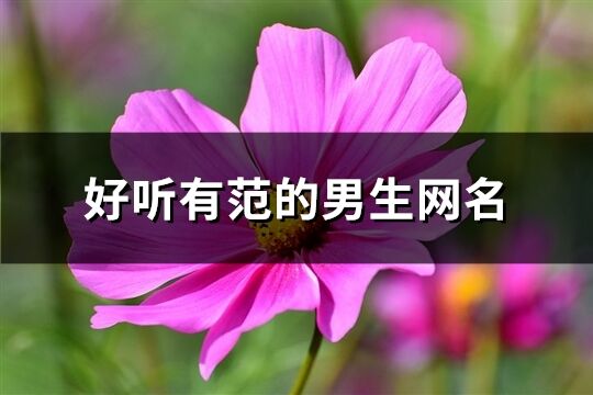 好听有范的男生网名(精选113个)