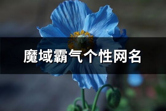 魔域霸气个性网名(精选320个)