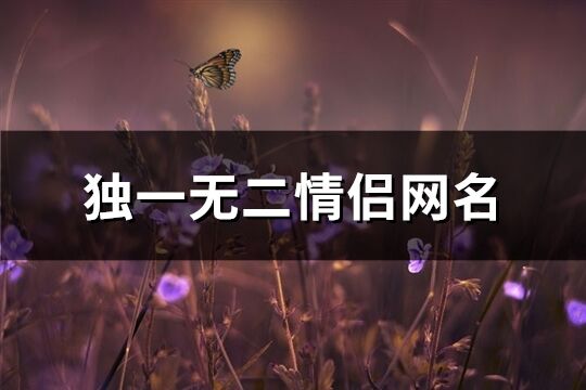 独一无二情侣网名(171个)