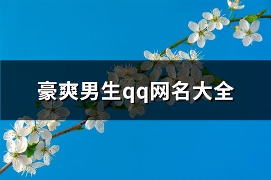 豪爽男生qq网名大全(203个)