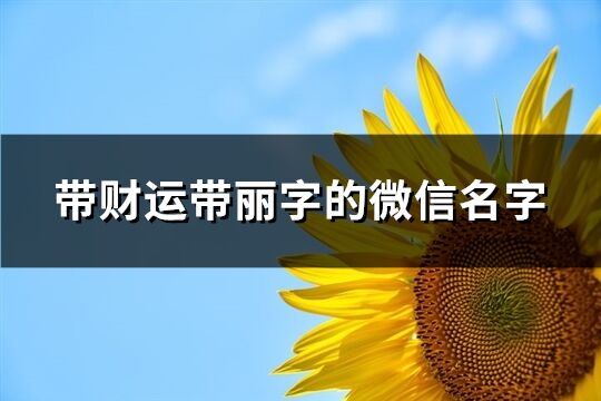 带财运带丽字的微信名字(精选81个)