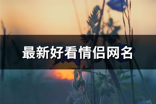 最新好看情侣网名(共126个)