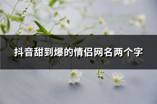 抖音甜到爆的情侣网名两个字(精选132个)