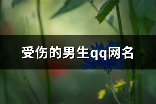 受伤的男生qq网名(共301个) 受伤的男生qq网名(共301个)