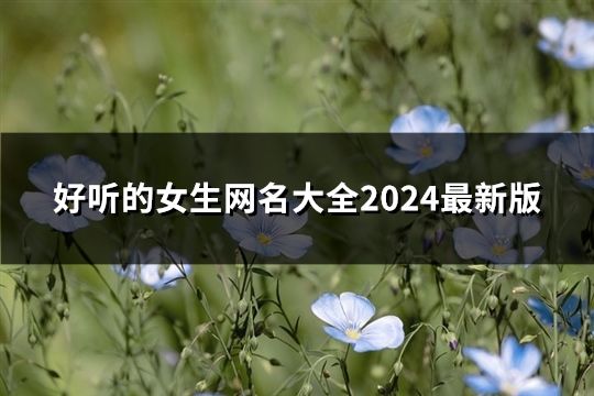 好听的女生网名大全2024最新版(共227个)