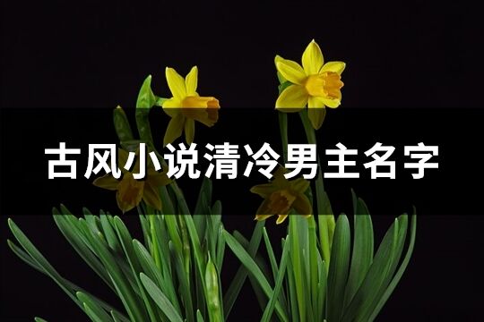 古风小说清冷男主名字(共126个)