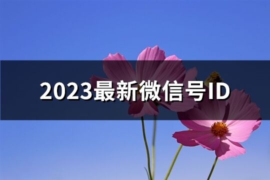 2023最新微信号ID(共1621个)