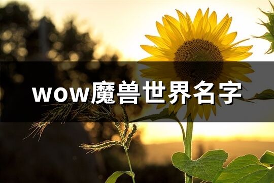 wow魔兽世界名字(321个)