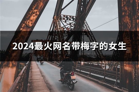 2024最火网名带梅字的女生(42个)