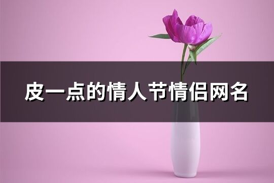 皮一点的情人节情侣网名(共95个)