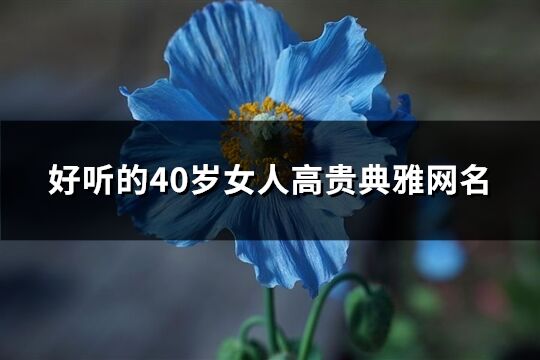 好听的40岁女人高贵典雅网名(534个)