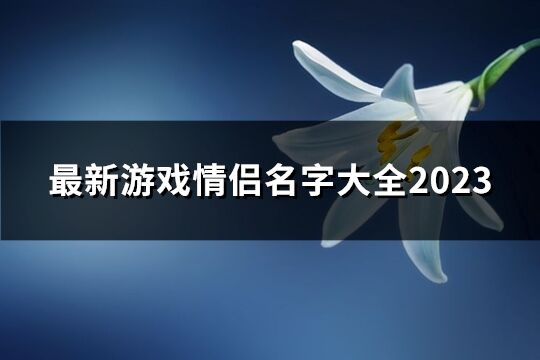 最新游戏情侣名字大全2023(共69个)