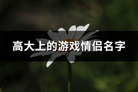 高大上的游戏情侣名字(506个)