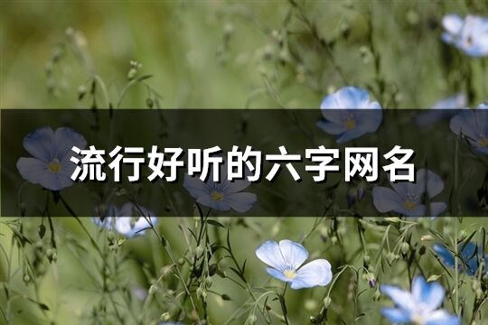 流行好听的六字网名(474个)