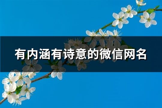 有内涵有诗意的微信网名(精选283个)