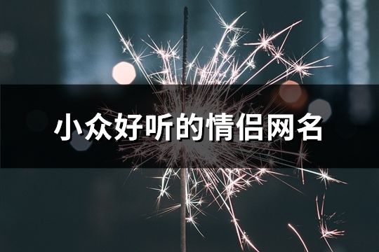 小众好听的情侣网名(共117个)