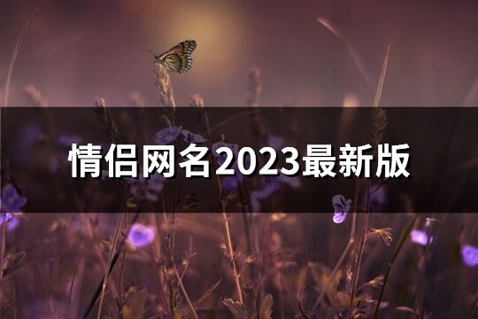 情侣网名2023最新版(共82个)