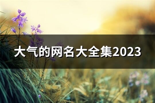 大气的网名大全集2023(92个)