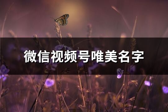 微信视频号唯美名字(共121个)