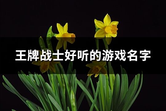 王牌战士好听的游戏名字(共447个)