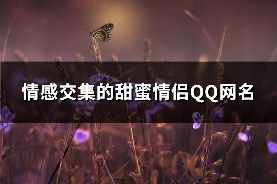 情感交集的甜蜜情侣QQ网名(共347个)