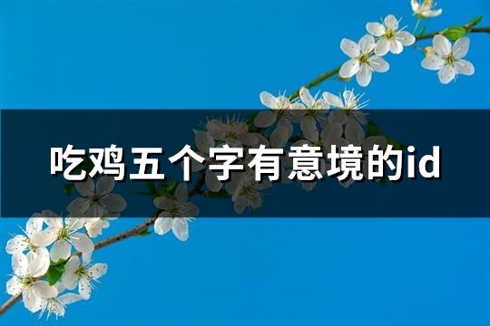 吃鸡五个字有意境的id(优选100个)