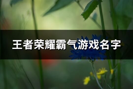 王者荣耀霸气游戏名字(优选293个)