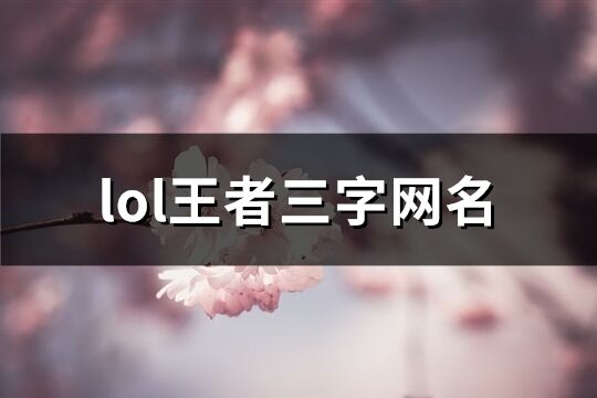 lol王者三字网名(709个)