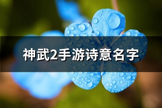 神武2手游诗意名字(252个)