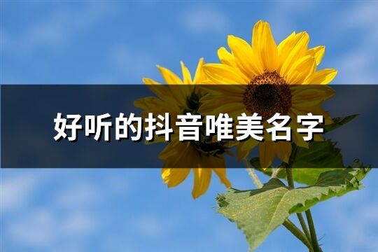 好听的抖音唯美名字(精选196个)