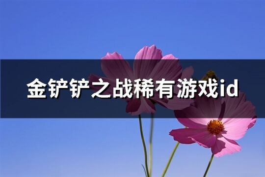 金铲铲之战稀有游戏id(179个)