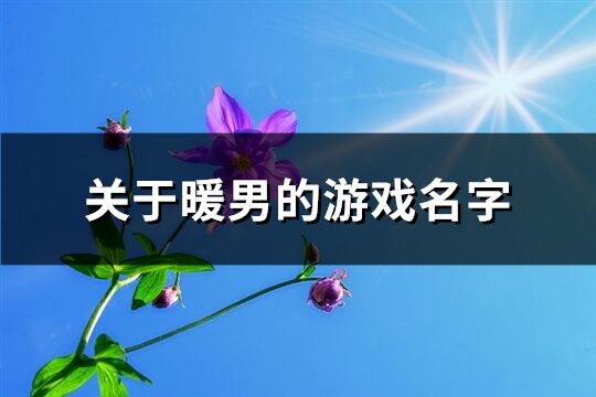 关于暖男的游戏名字(共317个)