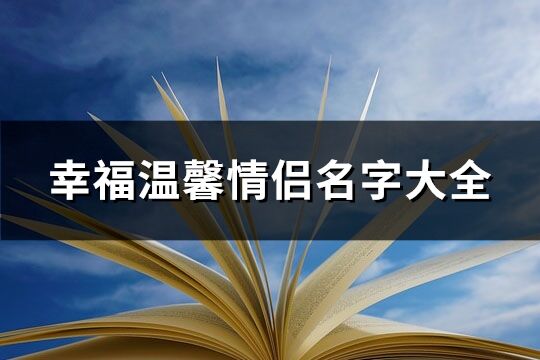 幸福温馨情侣名字大全