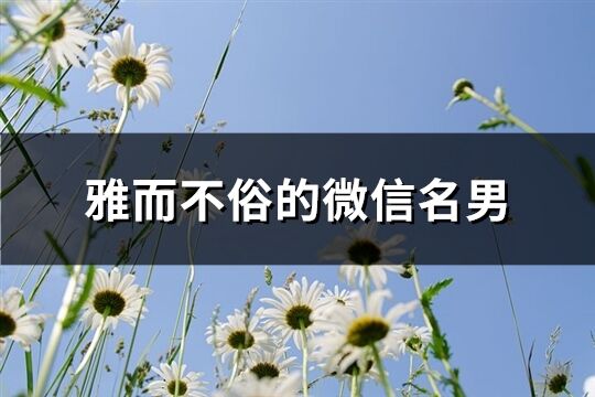 雅而不俗的微信名男(共265个)