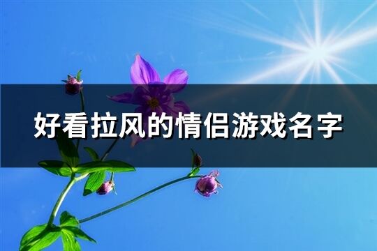 好看拉风的情侣游戏名字(共183个)