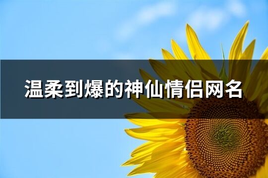 温柔到爆的神仙情侣网名(共38个)