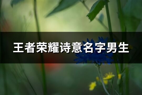 王者荣耀诗意名字男生(优选562个)