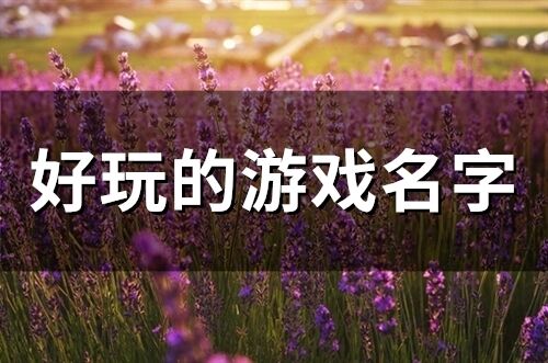 好玩的游戏名字(精选258个)