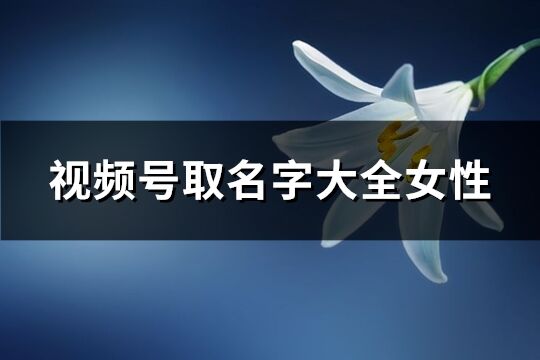 视频号取名字大全女性(共452个)