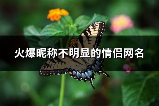 火爆昵称不明显的情侣网名(共66个)