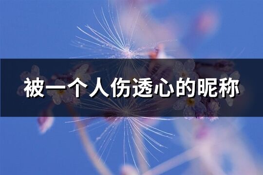 被一个人伤透心的昵称(260个)