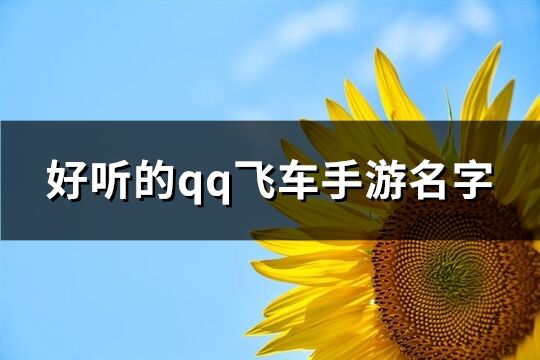 好听的qq飞车手游名字(共270个)