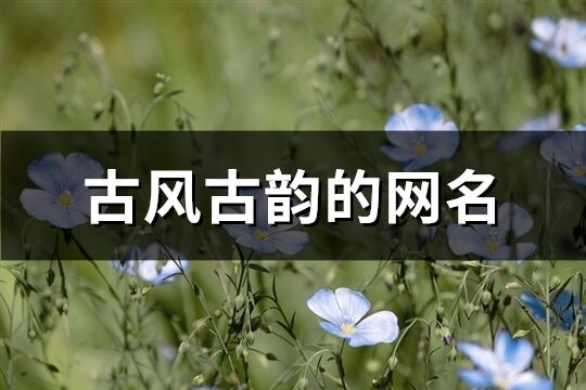 古风古韵的网名(共524个)