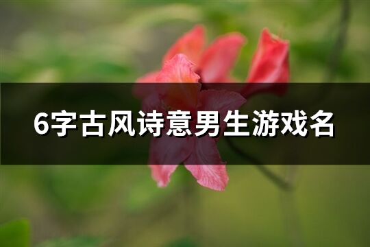 6字古风诗意男生游戏名(精选165个)