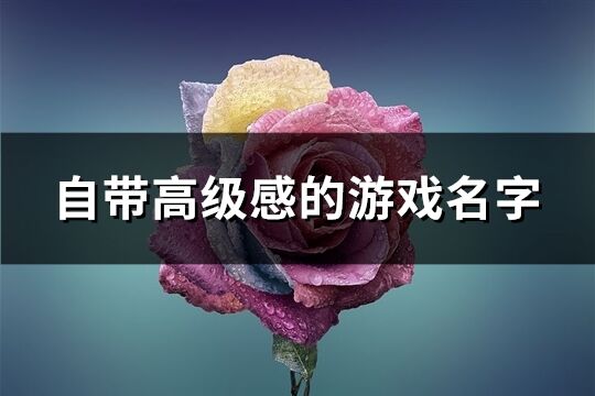 自带高级感的游戏名字(精选173个)