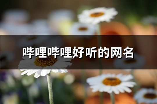 哔哩哔哩好听的网名(精选110个)