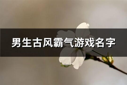 男生古风霸气游戏名字(精选183个)